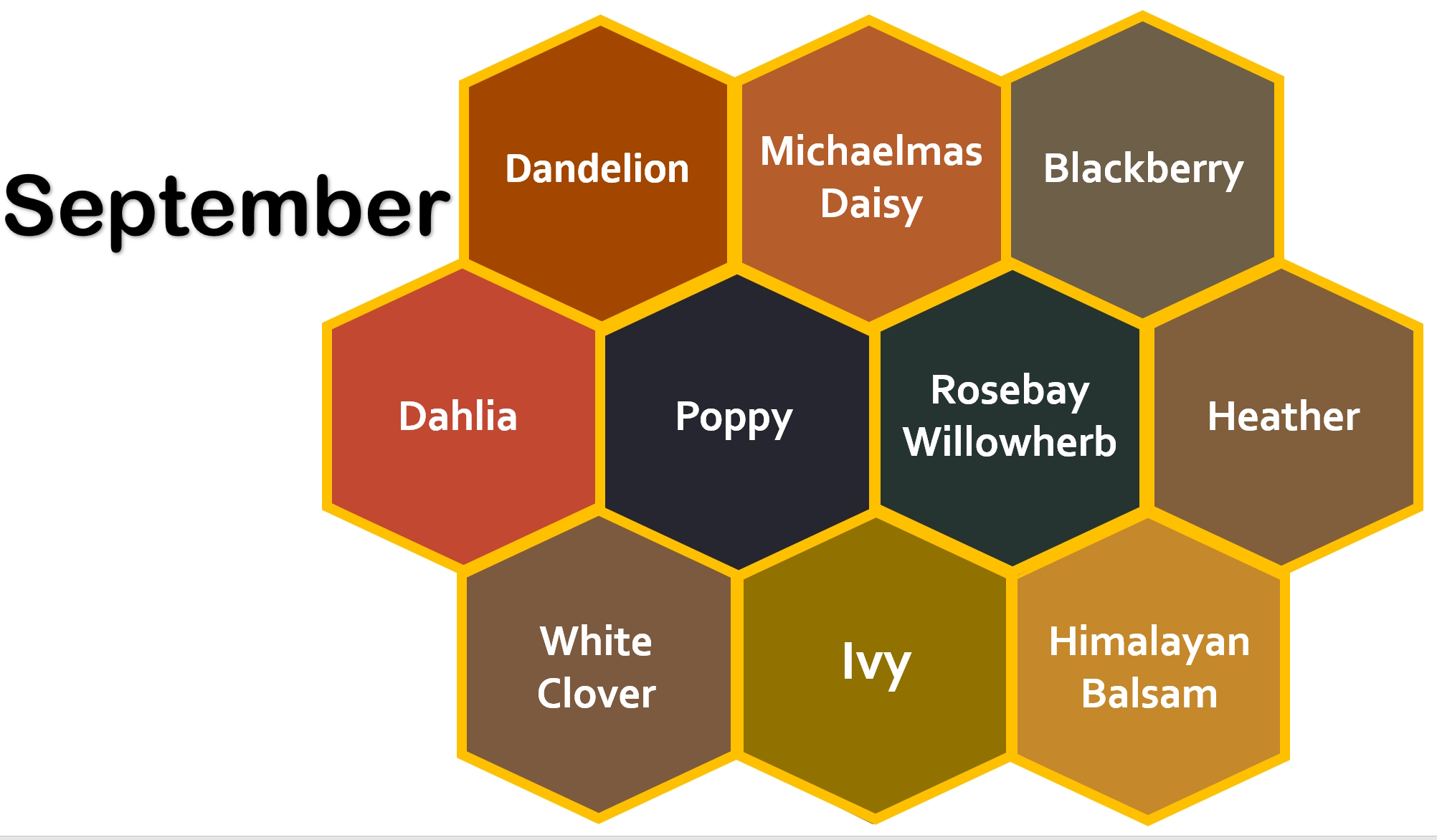 September pollen colours